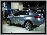 Salon, BMW, X6