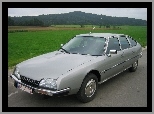 Srebrny, Citroen CX, Lusterka, Chromowane