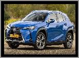 Elektryczny, Lexus UX