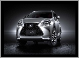 Lexus, NX